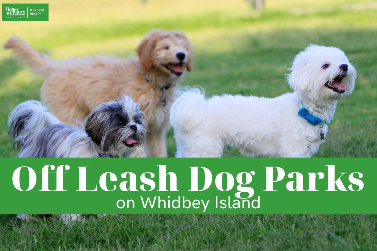 Whidbey Island Dog Parks