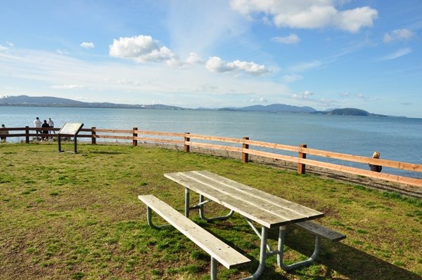 A Bench overlooking the ocean with a wooden fence in the background
