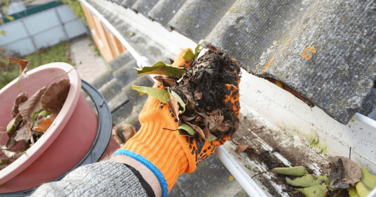 Gutter Cleaning 